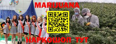 ешки Новозыбков