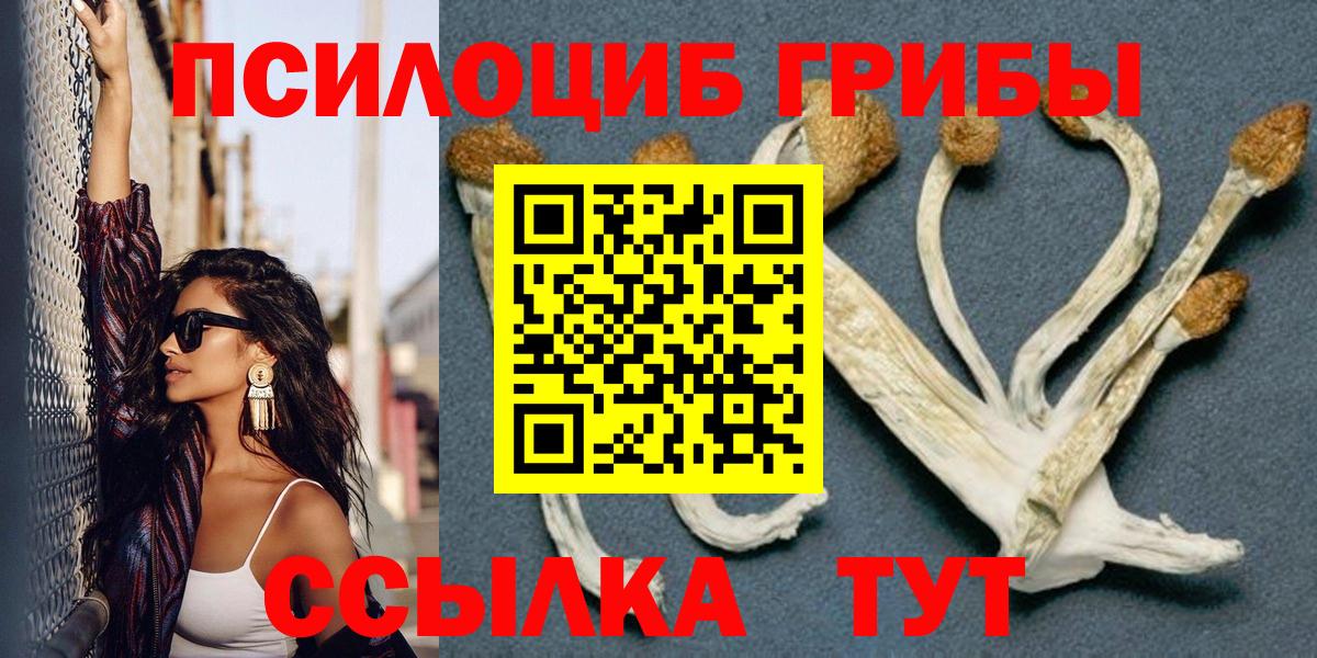 Галлюциногенные грибы мухоморы Верхняя Пышма