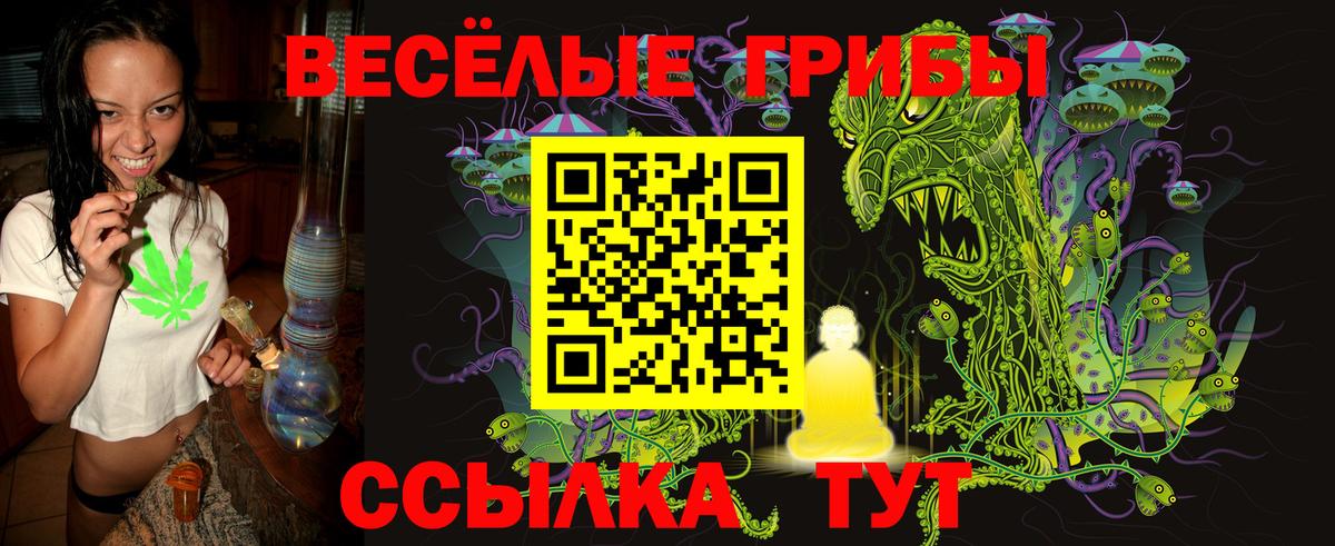 Псилоцибиновые грибы Psilocybe  Вход с VPN  Верхняя Пышма  Галлюциногенные грибы GOLDEN TEACHER 